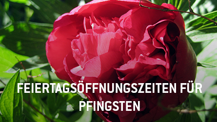 Öffnungszeiten und Kursprogramm an Pfingstmontag im WOF 20